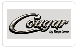 Cougar
